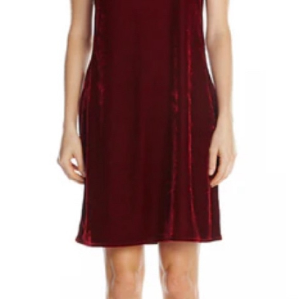 Aratta Red Velvet Slip with Gold Lace - Picture 4 of 6